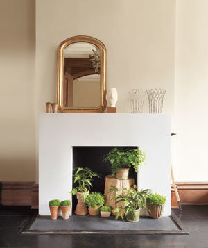 Fireplace-plants_300