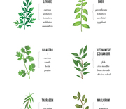Thumb_new-ways-to-pair-herbs1