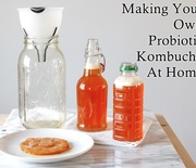 Thumb_making-your-own-probiotic-kombucha-at-home