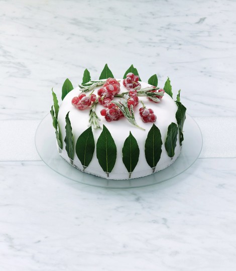 425049-1-eng-gb_decorated-christmas-cake-470x540