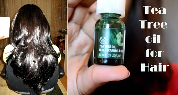 Tea-tree-oil-for-hair-growth