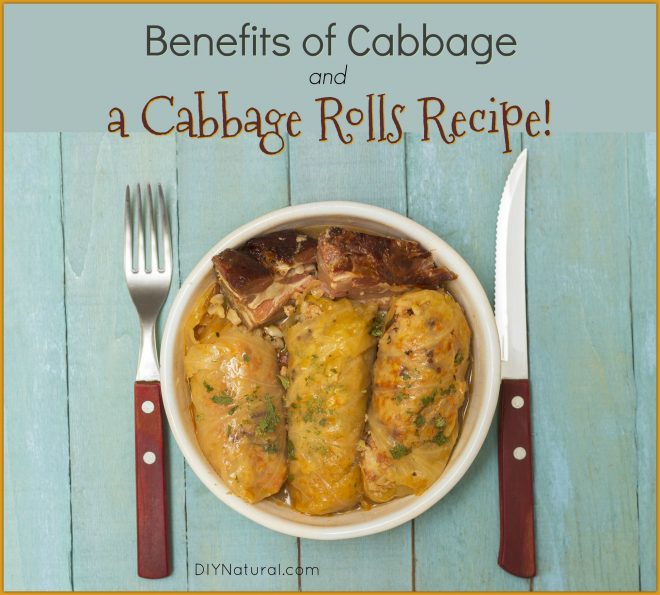 Cabbage-rolls-recipe-benefits-660x595