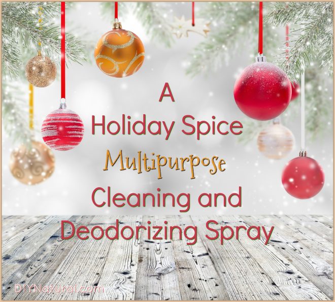 Musty-smell-cleaner-deodorizer-660x595
