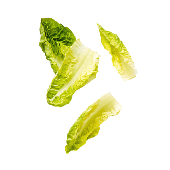 Little-dippers-lettuce-leaves-102828521_sq