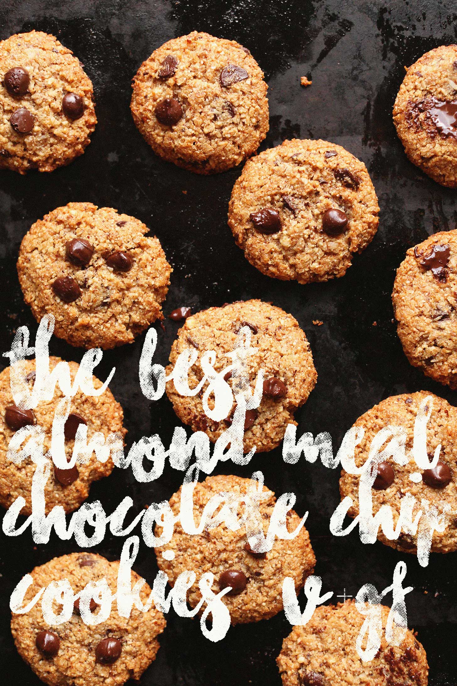 The-best-almond-meal-chocolate-chip-cookies-with-coconut-9-ingredients-and-so-delicious-vegan-glutenfree-cookies-chocolatechip