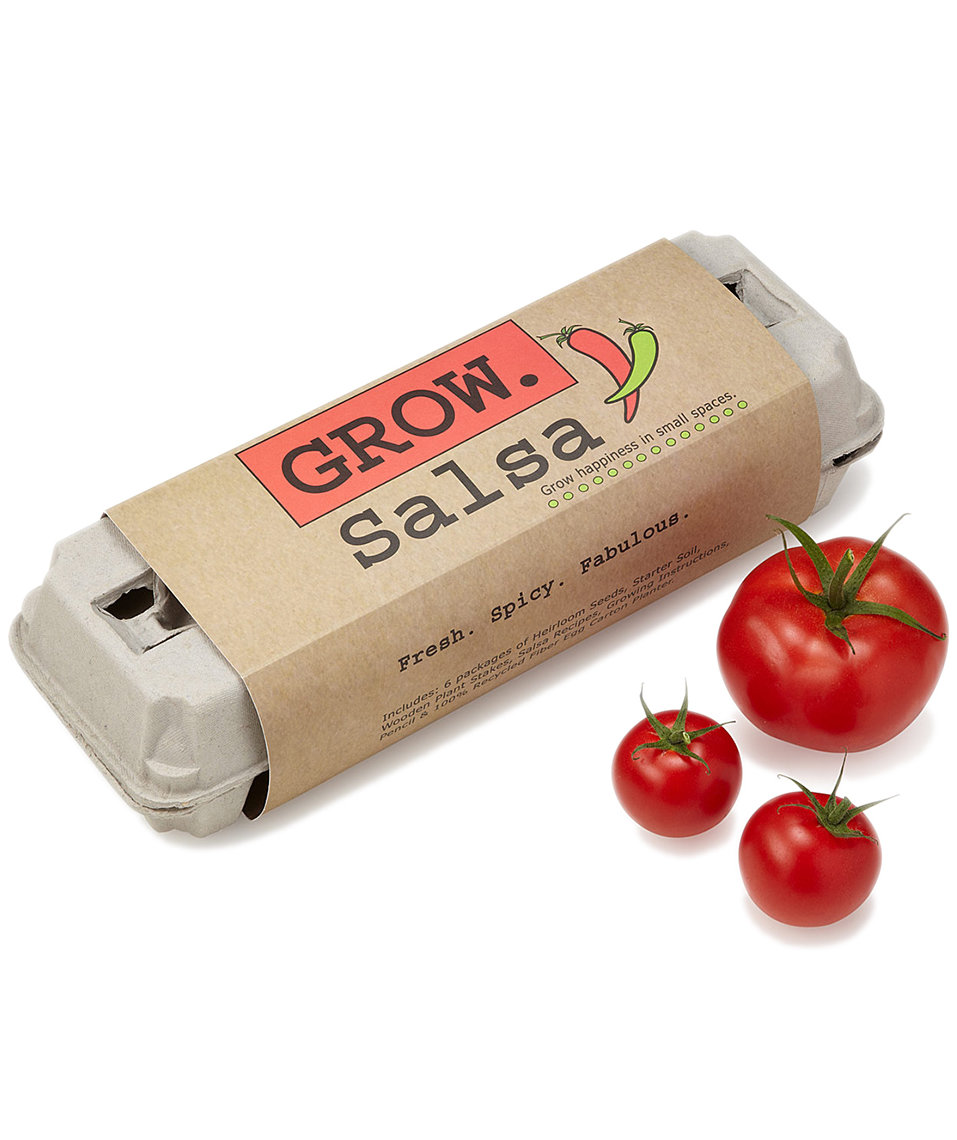 Salsa-grow-kit