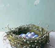 Thumb_mla103219_0408_nest_eggs_xl