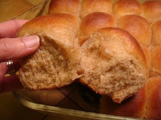 Wheat-dinner-rolls