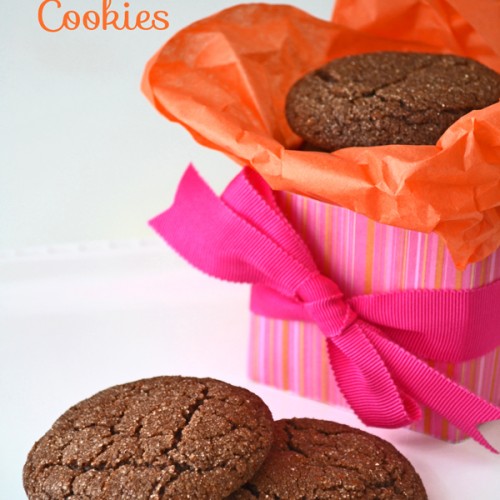 Mexican-hot-chocolate-cookies13-500x500