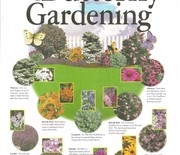 Thumb_butterfly-gardening1-805x1024