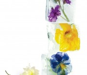 Thumb_floral_ice_cubes