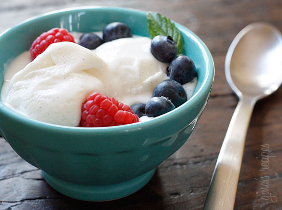 Frozen Low Fat Yogurt 91