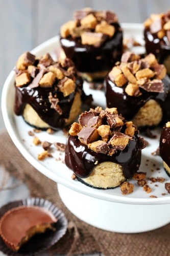 Peanut-butter-chocolate-mini-cheesecakes-with-oreo-cookie-crust-333x500