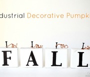 Thumb_industrial-decorative-pumpkins