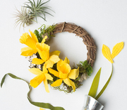 Thumb_daffodil-wreath