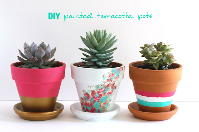 Terracotta-diy-plants-how-to