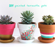 Thumb_terracotta-diy-plants-how-to