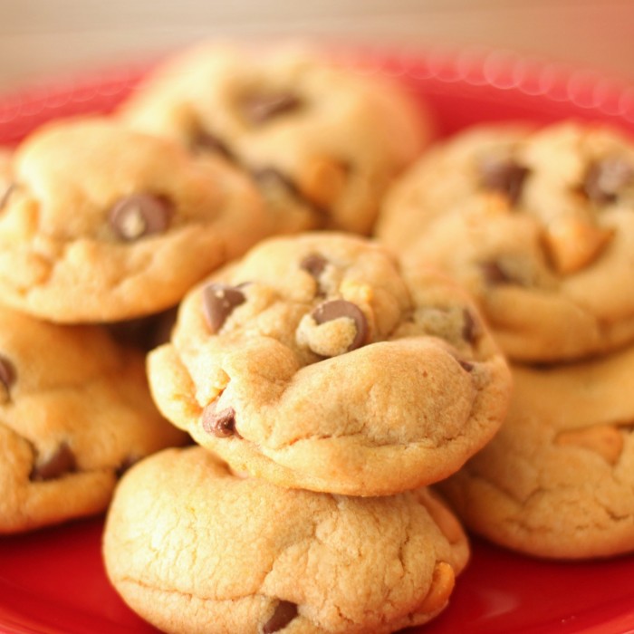 Butterscotch-chocolate-chip-pudding-cookies-square-700x700