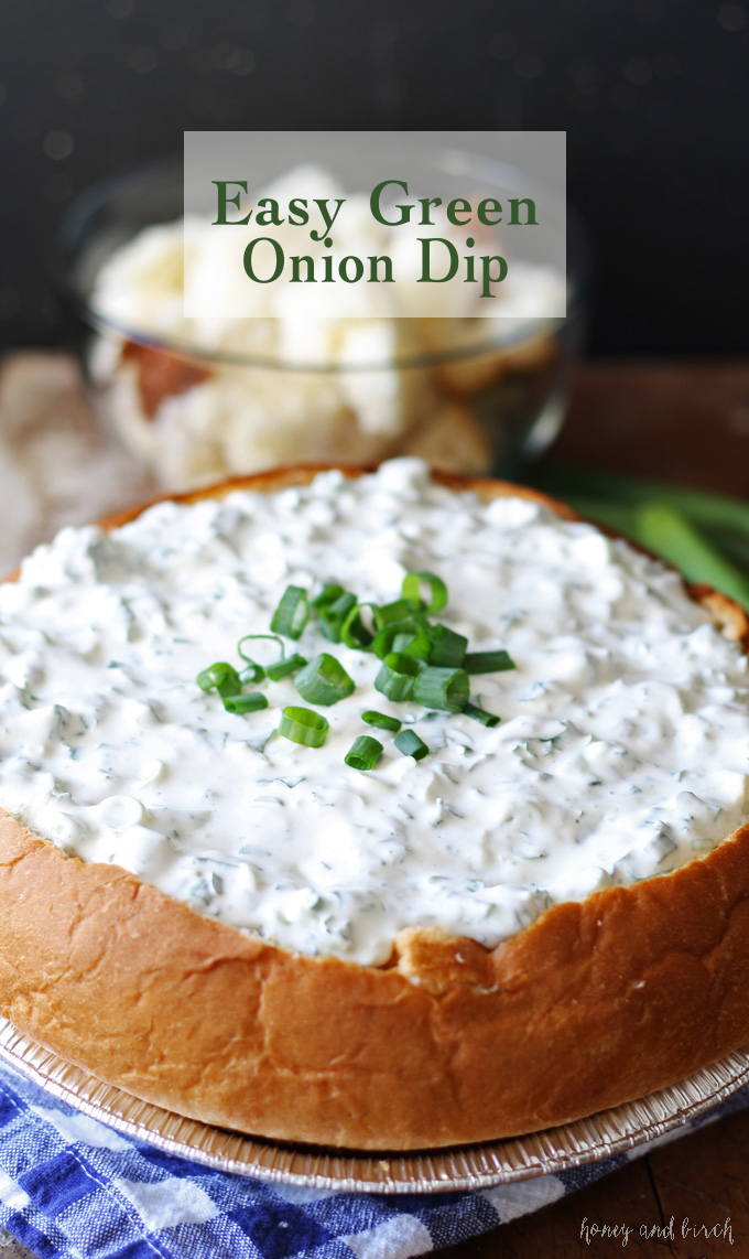 Easy-green-onion-dip