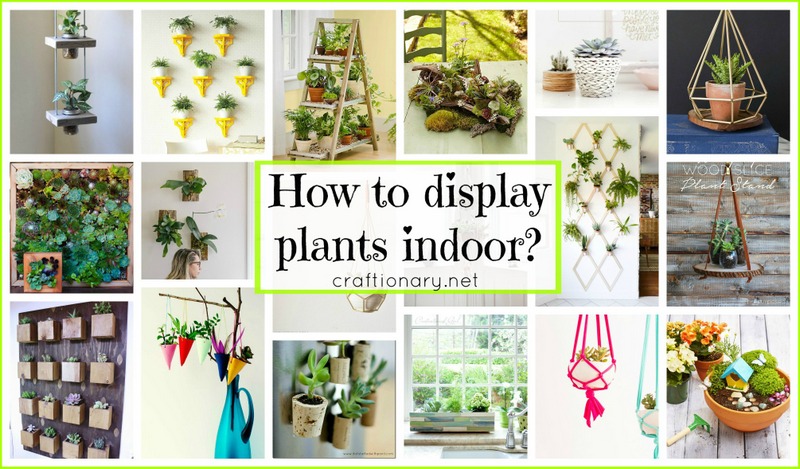 Diy-plant-display-for-home