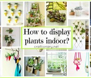 Thumb_diy-plant-display-for-home