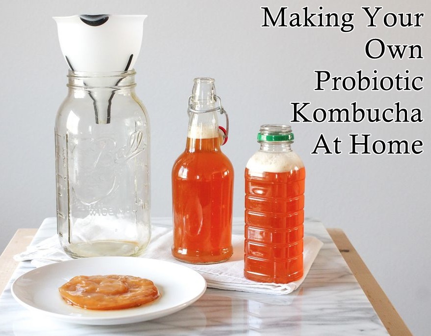Making-your-own-probiotic-kombucha-at-home