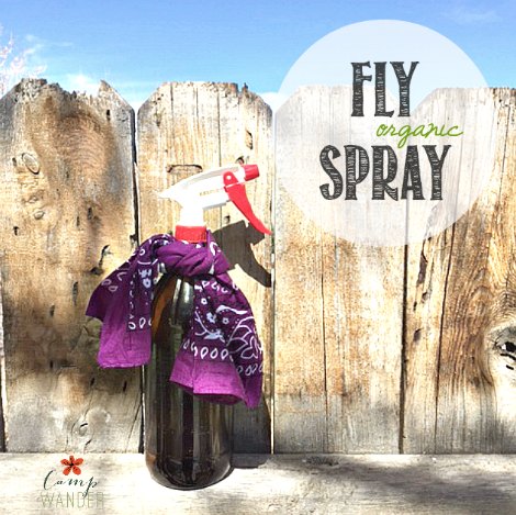 Fly-spray