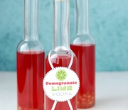 Thumb_diy-pomegranate-lime-vodka-boulderlocavore.com-106p