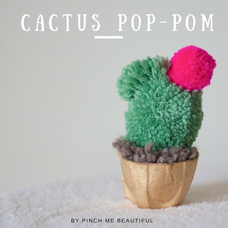 Cactus+pop-pom