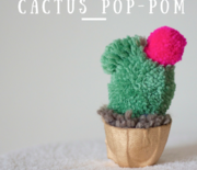 Thumb_cactus+pop-pom