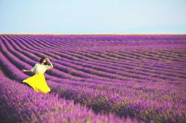 Breathe-in-the-lavender-fields-in-provence-france-746541-1463533391.640x0c