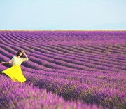 Thumb_breathe-in-the-lavender-fields-in-provence-france-746541-1463533391.640x0c