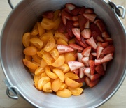Thumb_chopped-apricots-and-strawberries