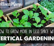 Thumb_how-to-grow-more-in-less-space-with-vertical-gardening