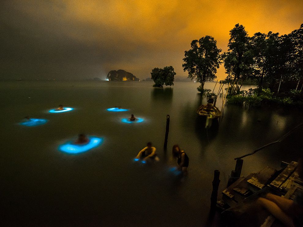 Thailand-bioluminesence_95158_990x742