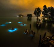 Thumb_thailand-bioluminesence_95158_990x742