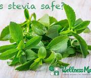 Thumb_is-stevia-safe-or-healthy