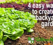 Thumb_four-easy-ways-to-create-a-backyard-garden