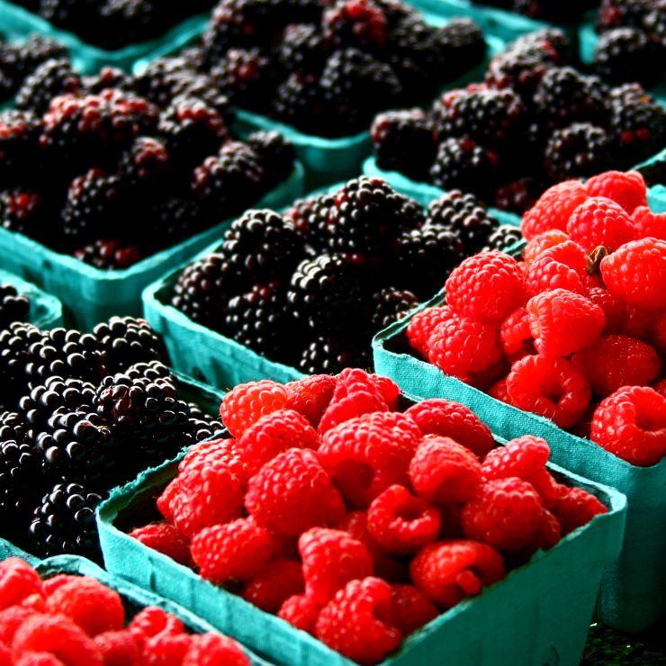 Flickr-berries-liz-west