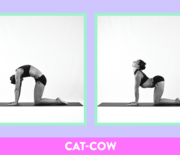 Thumb_stretches-wake-up_cat-cow