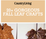 Thumb_gallery-1473179965-cl-gorgeous-fall-leaf-crafts