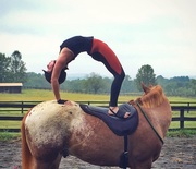 Thumb_horse-yoga