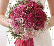 Thumb_carnations-5-mwd108375_vert