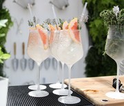 Thumb_cocktail-feature1