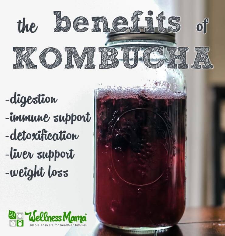 The-benefits-of-kombucha-digestion-immune-support-detoxification-weightloss