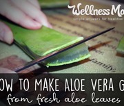 Thumb_how-to-make-aloe-vera-gel-from-fresh-aloe-leaves